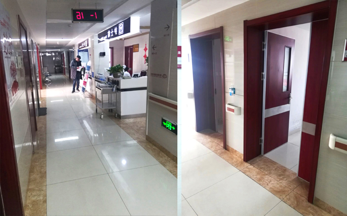 抑菌門也會琢磨色彩搭配，那無疑就是有審美情趣的人